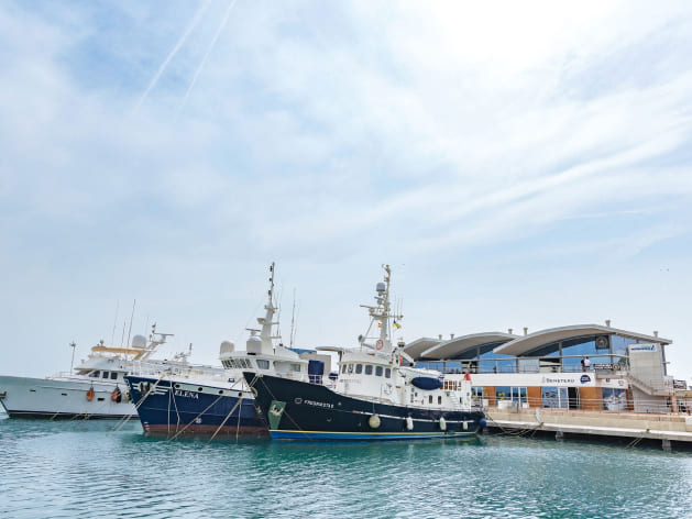 Marina Burriananova Castellón
